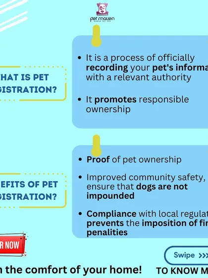 Wondering why pet registration is important? It's official proof of ownership, improves community safety, and ensures you comply with local Gurugram regulations to avoid any fines.