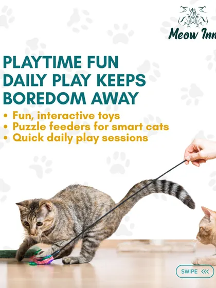 Daily play keeps boredom away. This graphic highlights the importance of interactive toys and puzzle feeders for mental stimulation.