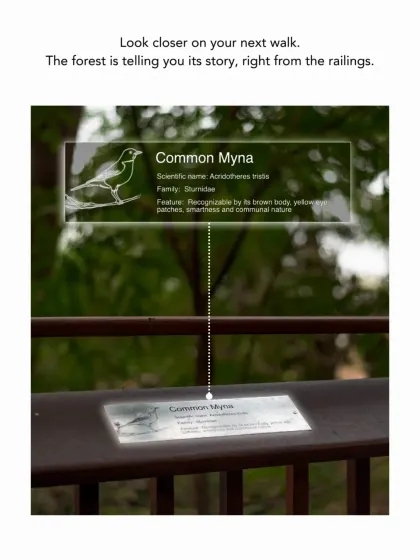 Look closer on your next walk. The forest tells its story through subtle steel plates on the railings, embossed with details of the species that surround you, like the Common Myna.