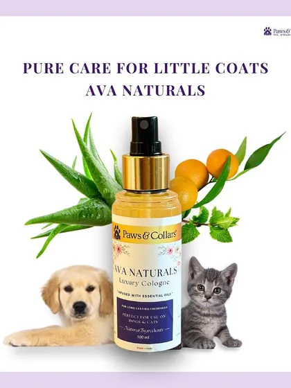 This composite image shows our cologne alongside a puppy and kitten, with the text "Pure Care for Little Coats," clearly communicating its safety for young pets.