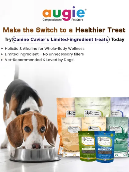 Make the switch to a healthier treat. Canine Caviar's limited-ingredient treats are holistic and alkaline for whole-body wellness. They are vet-recommended and absolutely loved by dogs.