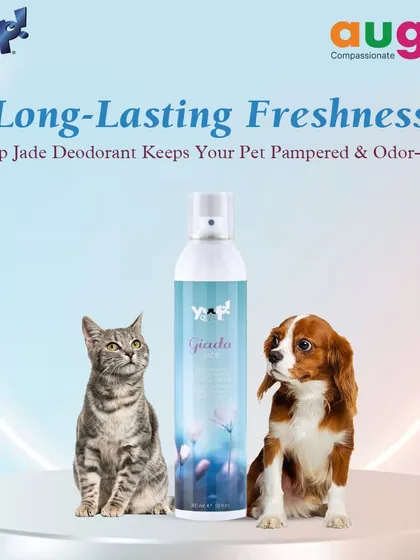 Yuup! Jade Deodorant provides long-lasting freshness, keeping your pet pampered and odor-free. It's a gentle, effective solution for both dogs and cats.