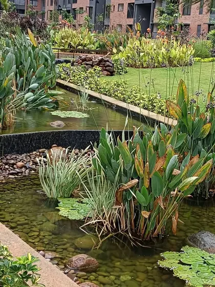 The beautiful water features at Sobha HRC Pristine. While aesthetically pleasing, the placement of water bodies is critical in Vastu. My consultations ensure such features enhance, rather than disturb, the overall energy of the property.