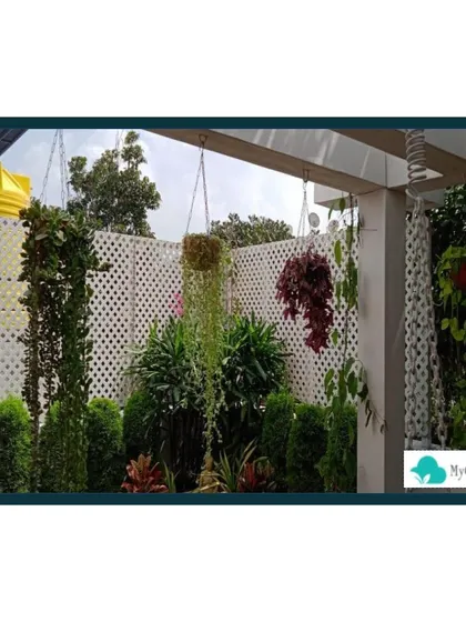 In this design, I used a combination of elements to create privacy and beauty. A white lattice screen provides a structural backdrop for climbing plants and hanging baskets, while lush greenery fills the space from the ground up. This approach creates a layered, dynamic, and secluded garden feel.