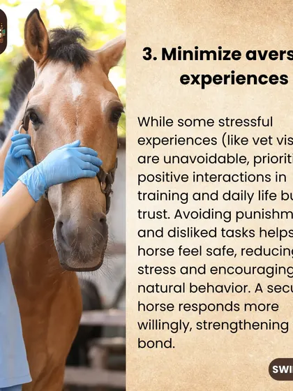 We teach our riders to minimize aversive experiences for their horses. A secure horse is a willing and trusting partner.