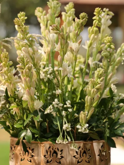 A close-up of fragrant white tuberoses (rajnigandha) in a carved brass vase, a classic choice for traditional Indian weddings.