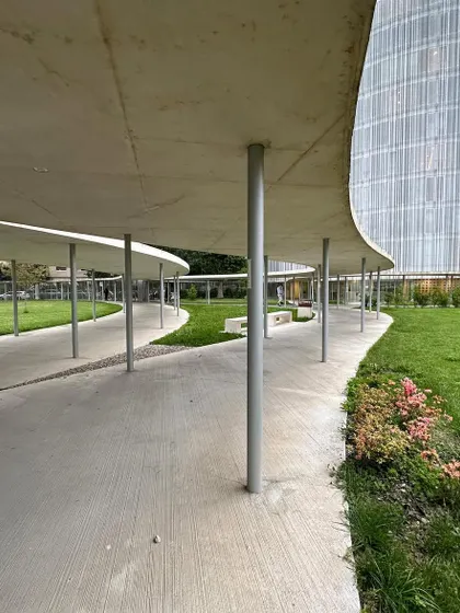 The slender columns and curving canopy create a graceful covered walkway, a signature of SANAA's architectural language.