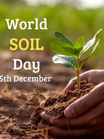 On World Soil Day, we celebrate the foundation of all life. Healthy soil is key to growing healthy food, and protecting it is essential for our planet's future.