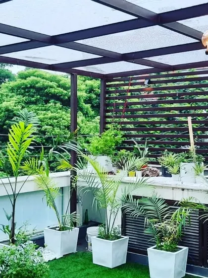 A balcony filled with greenery. We installed a pergola with a clear roof to protect the plants and allow for enjoyment in all weather.
