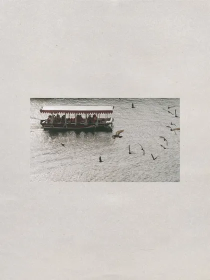 A minimalist shot of a boat and birds on the lake in Udaipur, setting the scene and capturing the peaceful atmosphere of the City of Lakes.