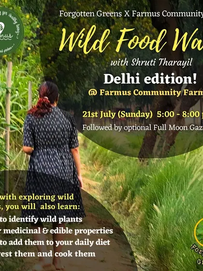 The official flyer for our 'Wild Food Walk' with Forgotten Greens, detailing what participants will learn.