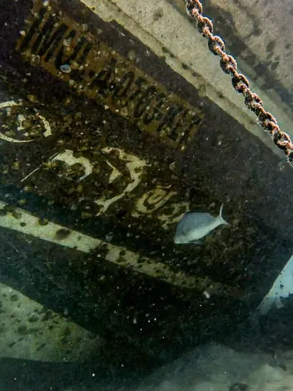 Every wreck has a story to tell, often visible in the details. This close-up shows the stern of a sunken boat at Gaafaru, with its name still faintly visible beneath the marine growth. Our courses emphasize appreciating the history and preserving the integrity of these underwater sites.