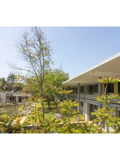 A view from the upper level, looking through the trees towards the water body.