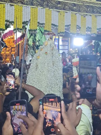 The 'Karga' being carried through a sea of devotees and mobile phones. The energy of the crowd is indescribable.