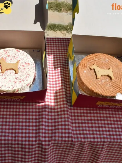 No party is complete without cake. For my Pet Brunch, I partnered with a local barkery to provide delicious, pet-safe cakes for our furry guests of honor.