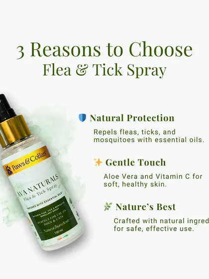 This infographic highlights three key reasons to choose our Ava Naturals Flea & Tick spray. It offers natural protection using essential oils, a gentle touch with aloe vera, and is crafted with nature's best ingredients.