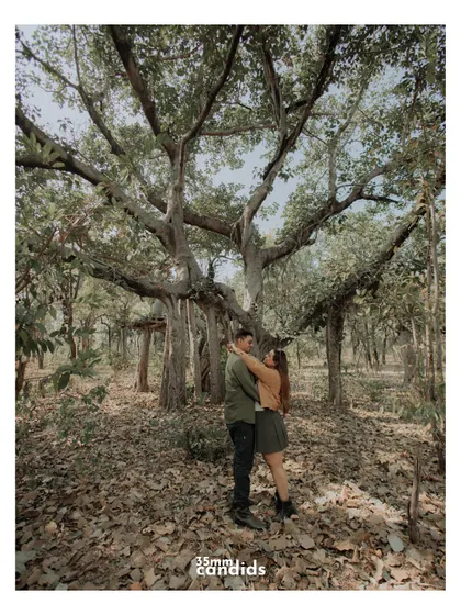 A wide shot of the couple embracing under a massive, ancient banyan tree. The scale of the tree emphasizes the strength and rootedness of their connection.