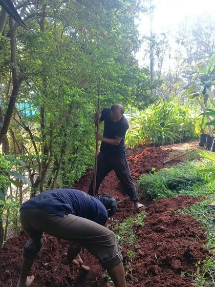Our team at work, digging and preparing the soil for a large landscaping project. Proper ground preparation is the most important step for a healthy garden, ensuring good drainage and a nutrient-rich base for plants to grow.