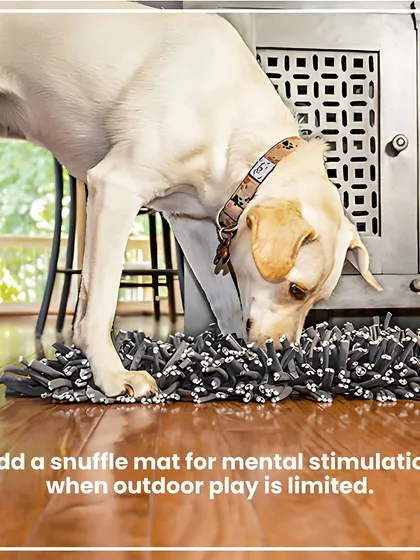 When winter weather limits outdoor playtime, a snuffle mat is a perfect indoor solution. It provides essential mental stimulation and enrichment by allowing your dog to use their natural foraging instincts to find treats.