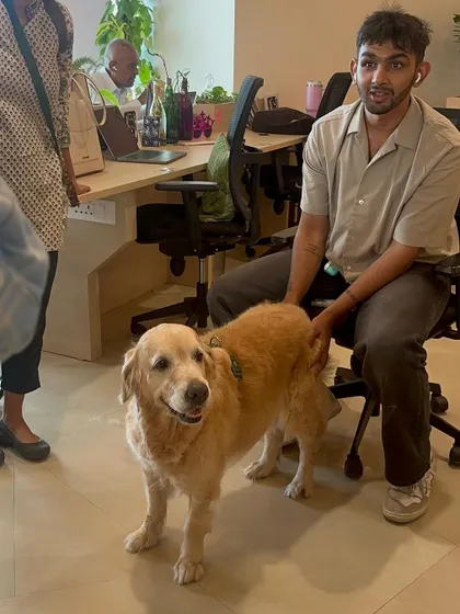 A happy, relaxed dog makes for happy people! Socialization isn't just for the dog; it's about enabling them to be a positive part of our human world.