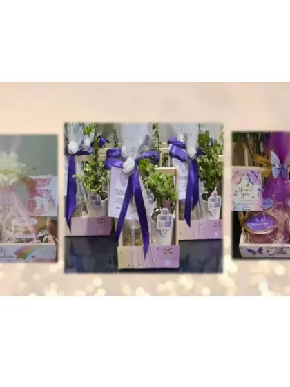 A glimpse into our thematic gifting options. We design hampers to match any concept, from whimsical unicorn and butterfly trays for birthdays to elegant eco-friendly plant gifts for green-themed events.
