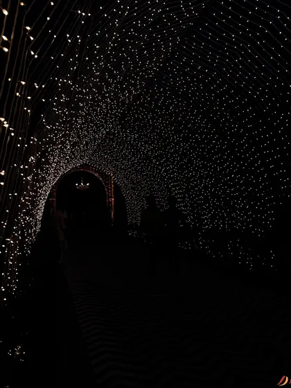 A tunnel of a thousand stars to welcome guests. I used countless fairy lights to create this immersive entrance, building a sense of wonder and magic from the moment guests arrive.