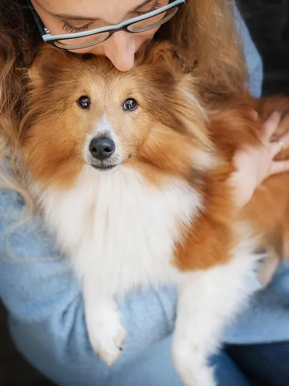 Those puppy eyes are in full swing! A close-up, intimate portrait that focuses on the deep, soulful connection between a person and their pet.