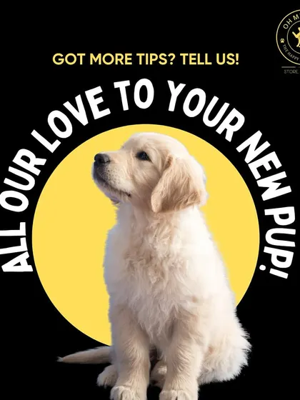 I hope these tips help you on your journey with your new pup. Your love and patience are the most important things they need.