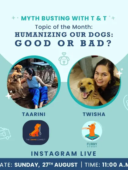 I love collaborating with other trainers to bust common myths about dogs. Here's an announcement for an Instagram Live session I did about whether humanizing our dogs is good or bad.