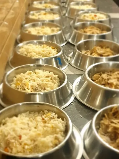 Mealtime is serious business and a highlight of the day. We prepare fresh, home-cooked meals right here in our kitchen, with options for both vegetarian and non-vegetarian diets. Each bowl is portioned to ensure every pet gets a healthy, delicious, and satisfying meal.
