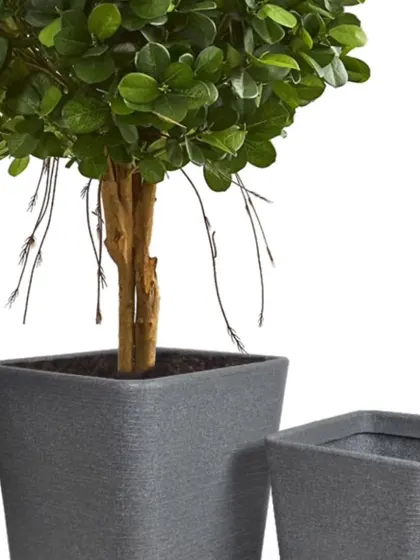 These tapered square planters in a textured grey finish are a classic choice for framing an entryway or lining a patio. Their timeless design works well in both modern and traditional settings.