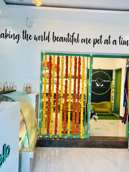 Our salon is decorated and ready for Diwali. We believe in creating a beautiful and calming space for everyone who walks through our doors.