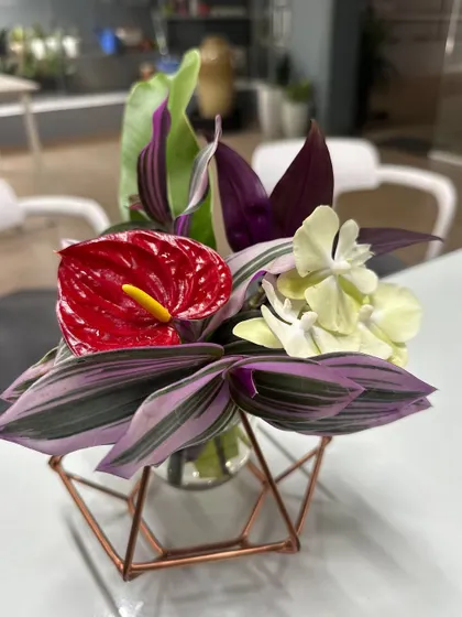 A small floral art piece I created using flowers from my own garden. This simple Ikebana-style arrangement in a geometric vase features Anthurium, orchid, and Tradescantia leaves.