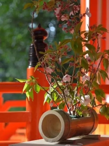 A bamboo planter used as a beautiful centerpiece, holding a delicate flowering plant. This image shows how our sustainable products can bring a touch of nature's elegance to any setting, from balconies to tabletops.