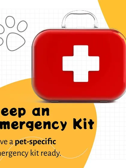 Having a dedicated emergency kit can make a critical difference. This tip reminds pet owners to prepare a pet-specific kit with bandages, antiseptics, and other essentials for immediate care.