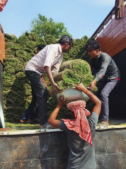 Teamwork in action as our crew loads turf for a large order.