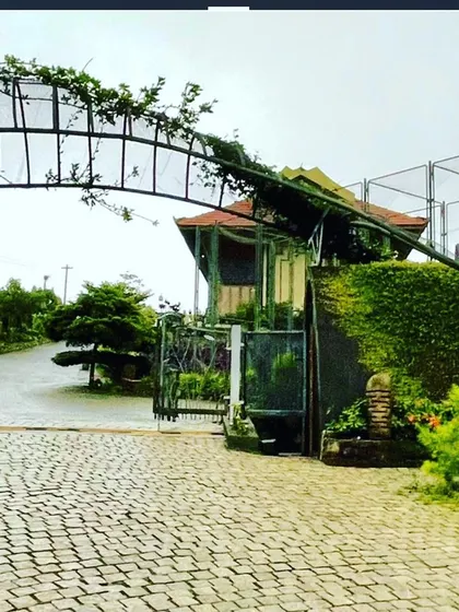 Looking out from the FINCH entrance, the design reveals a winding road that follows the land's natural contours. The organic steel structure above is designed for creepers to form a living archway.