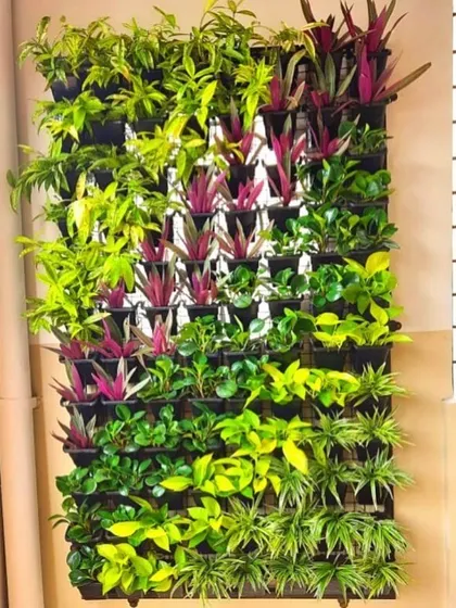 We love creating patterns with plants. This vertical garden uses a mix of bright green and deep purple plants to create a visually striking design on an exterior wall.