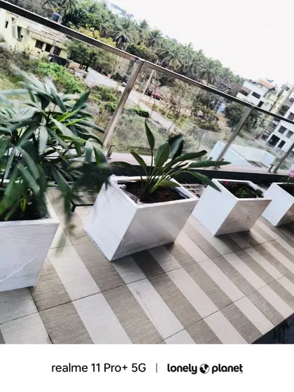 This is a closer view of the sleek, white FRP planters used in a balcony setup. The design is simple yet effective, allowing the plants to be the main focus.