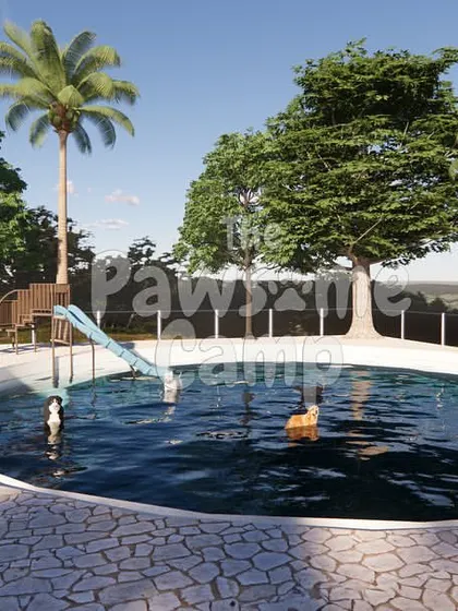Our pool design includes a slide and a gentle slope, making it fun and accessible for dogs of all swimming abilities.