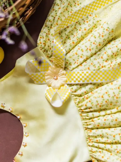 A detailed shot of the yellow floral and eyelet dress, showing the beautiful combination of fabrics and textures.