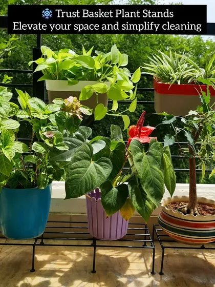 Using plant stands like these from Trust Basket is a simple trick to make your balcony look organized and simplify cleaning. Elevating the pots off the floor improves air circulation and prevents water stains, keeping both your plants and your space happy.