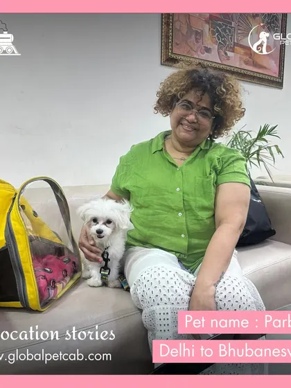 Parbati, a fluffy Maltese, ready for her journey from Delhi to Bhubaneswar. We ensure even small dogs have a safe and secure space when traveling by train.