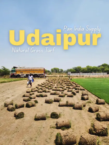This graphic highlights our natural grass turf supply to Udaipur, showcasing our reach and commitment to serving clients across India.