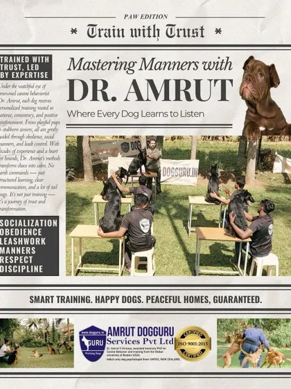 This is my philosophy in one picture: Train with Trust, Led by Expertise. My program is not about harsh commands; it's a journey of socialization, obedience, leash manners, respect, and discipline. We build a foundation for a peaceful home.