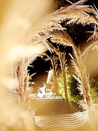 An artistic, soft-focus shot of the pampas grass entrance arch, highlighting the warm, golden light and creating a dreamy, ethereal feel for the 40th birthday celebration.