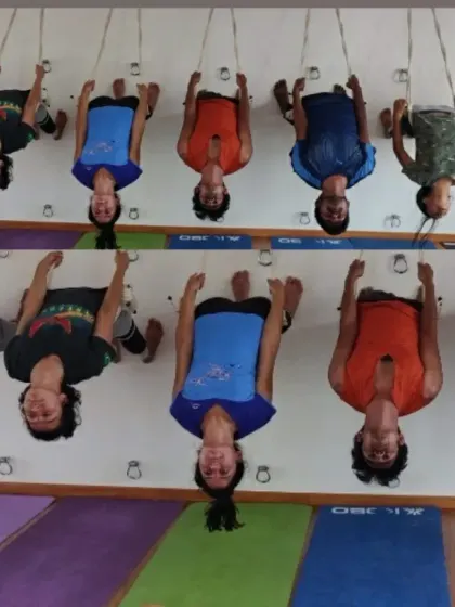 A group of students in a supported inversion using a rope wall. This Iyengar yoga technique, known as "yoga kurunta," allows for spinal decompression and relaxation without any pressure on the neck.