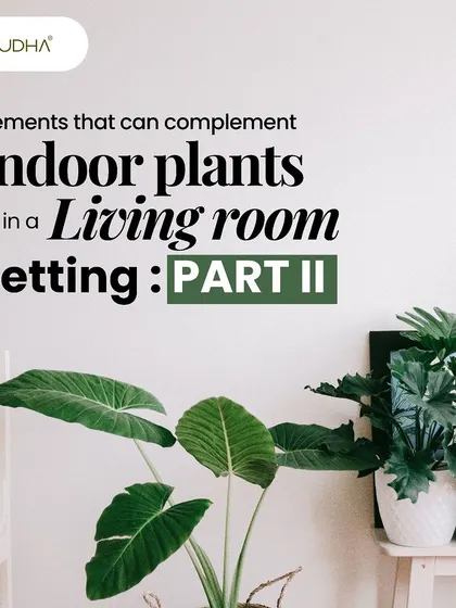 This is part two of my series on elements that complement indoor plants. Here I focus on adding style with metallic accents, macramé hangers, and nature-inspired art.