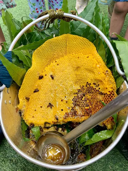 When a honey seller appeared at our gate, it was a perfect, spontaneous learning moment. The children got to see a real honeycomb up close, connecting the stories they'd heard about bees with a real-world sensory experience. This is the magic of a flexible, play-based day.