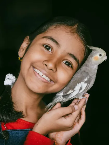 The bond between a child and their pet is one of the purest things in the world. This quiet moment between a girl and her cockatiel is a perfect example. My sessions are not just for cats and dogs; I love capturing the unique connection between people and all their animal companions.